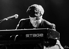 Hideaway : Eric Vandekerckhove (basse), Ralph Bonte (chant, guitare), Jean-Marie Herman (guitar), Patrick Cuivers (claviers), Geeraard de Groote (sax), Johan Guidée (batterie)